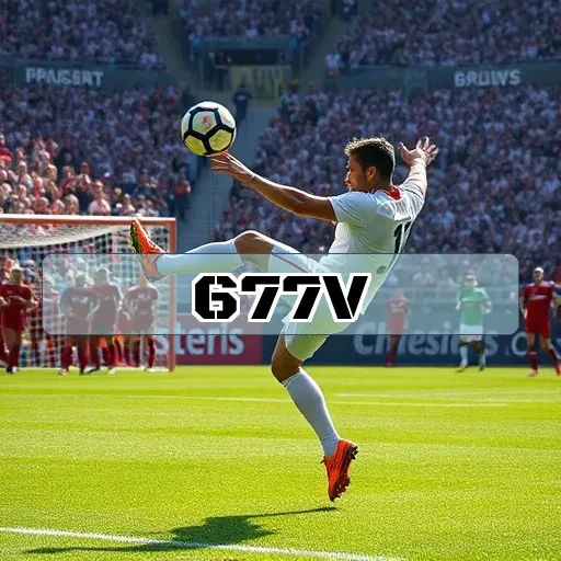 677v.com Programa de Fidelidade