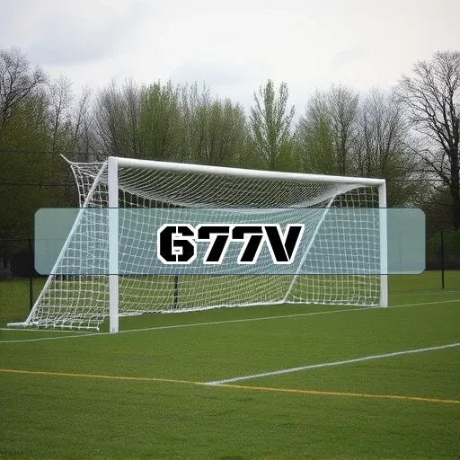 677v.com Estratégia